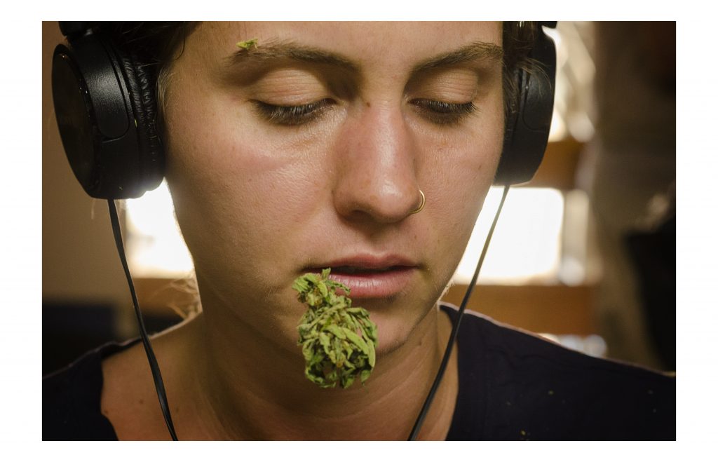 El green rush de Flo